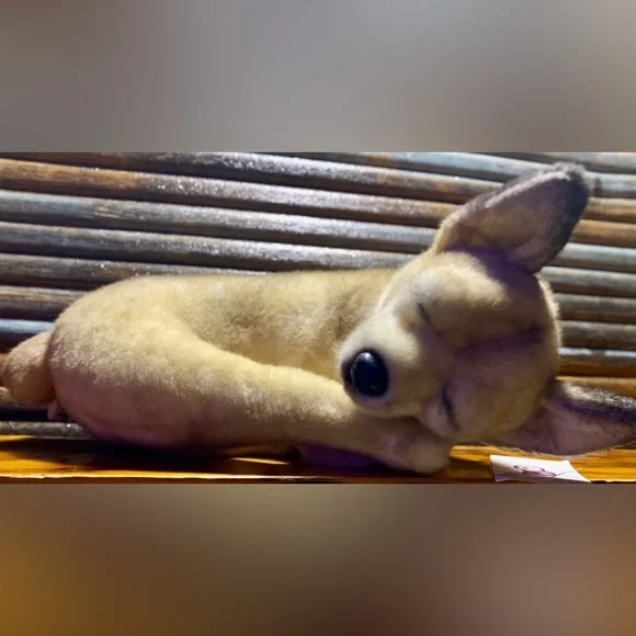 CUDDLE CLONES CHIHUAHUA - Picture 5 of 9